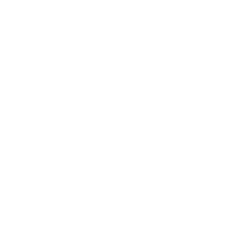 WP Star